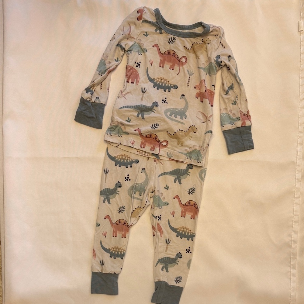 Caden Lane Dinosaur Print Two Piece Pajamas